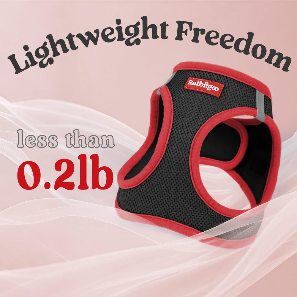 Rabbitgoo harness with soft cushioned handle for gentle grip.