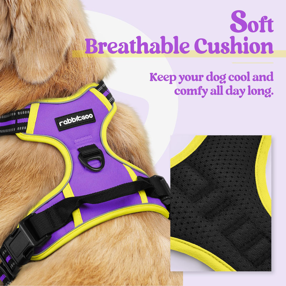 Rabbitgoo harness padded chest-clip design reduces pressure during training.