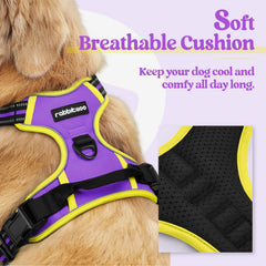 Rabbitgoo harness padded chest-clip design reduces pressure during training.