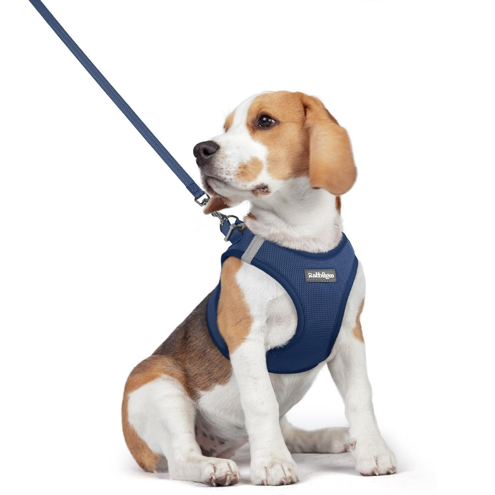 Rabbitgoo harness navy blue step-in design for quick on-boarding.