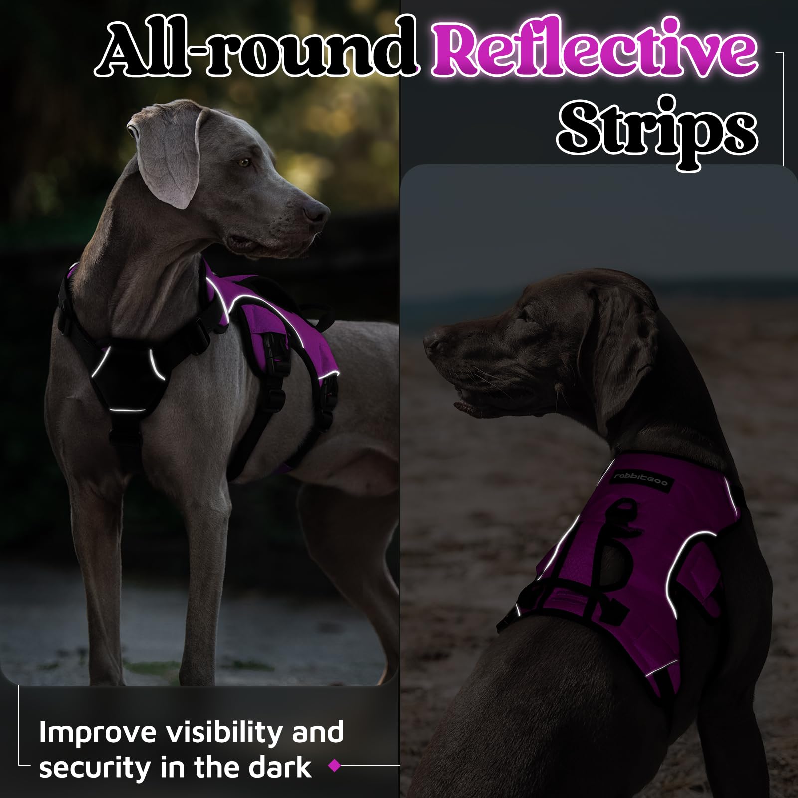 Rabbitgoo heavy-duty polyester provides daily-use strength and durability.