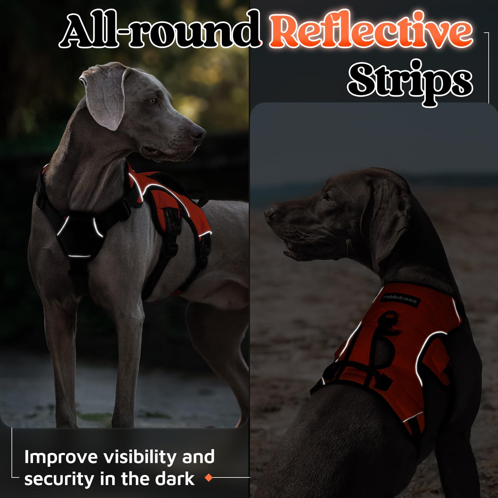 Rabbitgoo heavy-duty polyester webbing ensures daily durability and safety.
