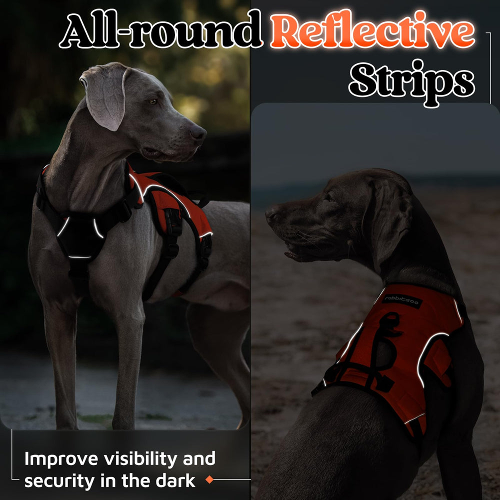 Rabbitgoo heavy-duty polyester webbing ensures daily durability and safety.