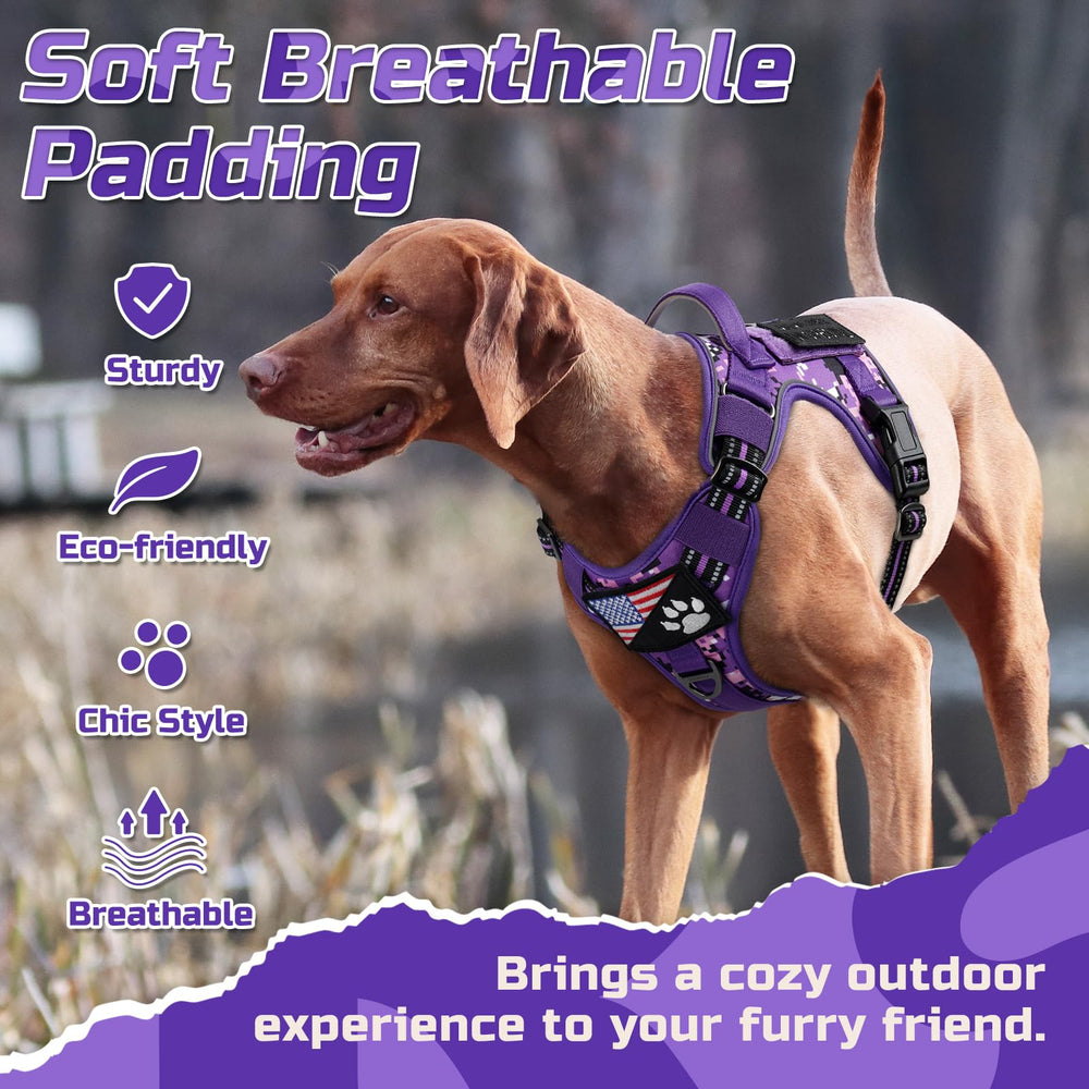 Rabbitgoo ID card slot helps identify your dog at events