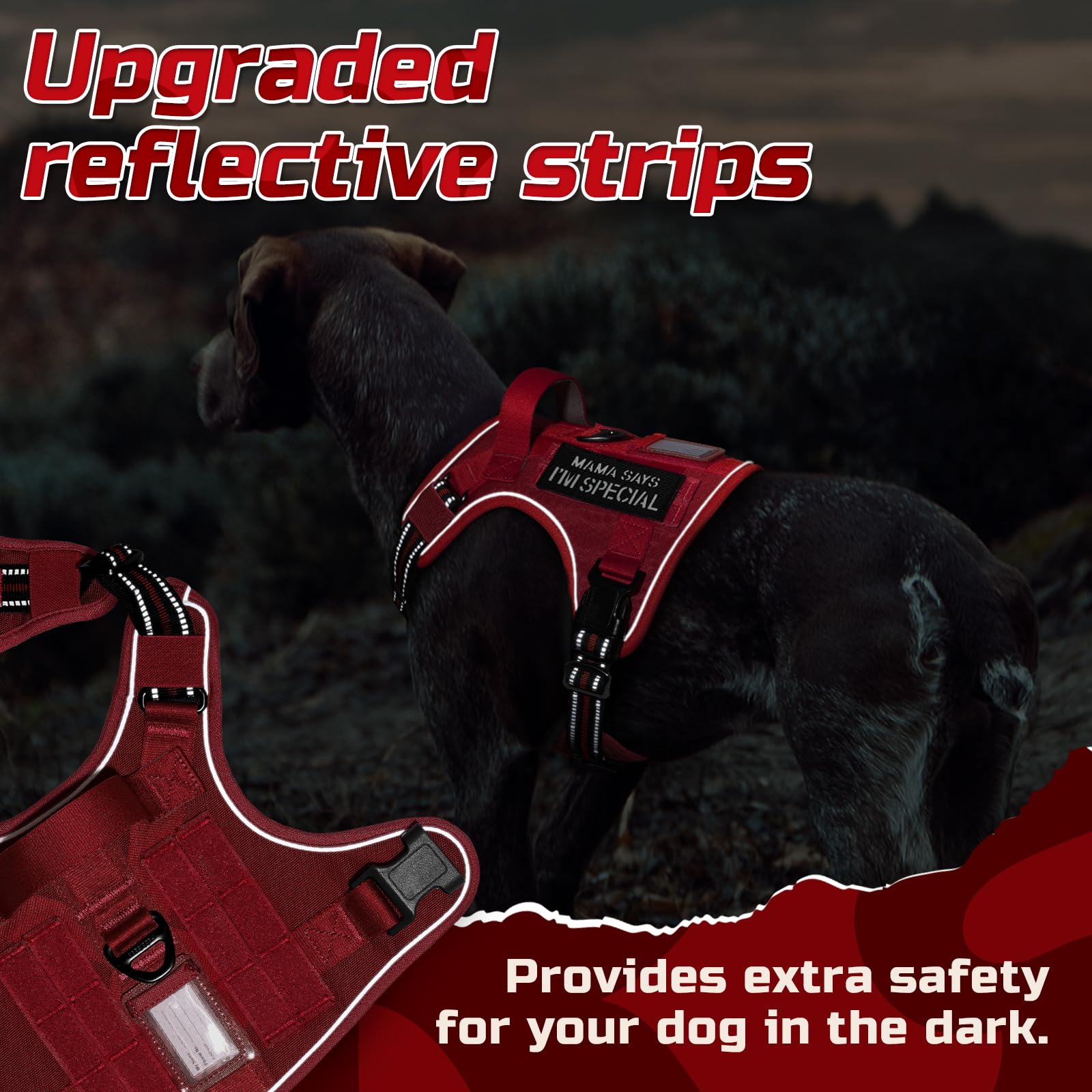 Rabbitgoo ID slot and patch area for quick identification and customization