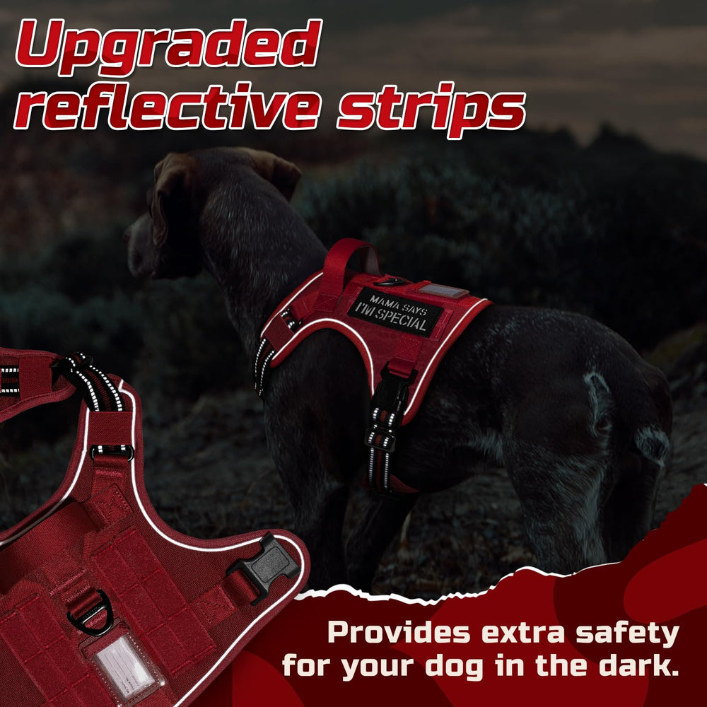 Rabbitgoo ID slot and patch area for quick identification and customization