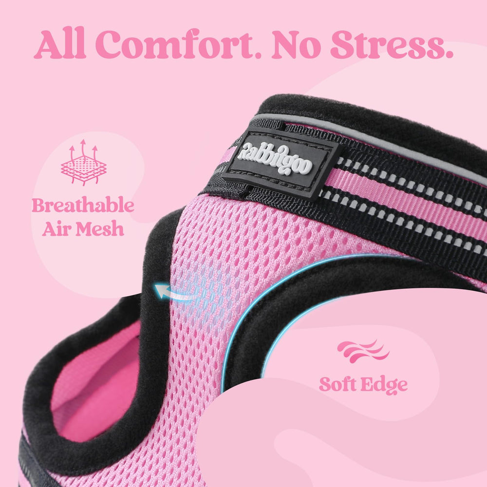 Rabbitgoo kitten harness with soft-edged fabric reduces friction.