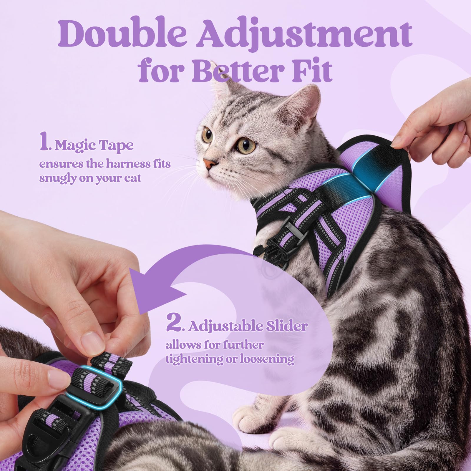 Rabbitgoo kitten vest with soft padding for comfy wear