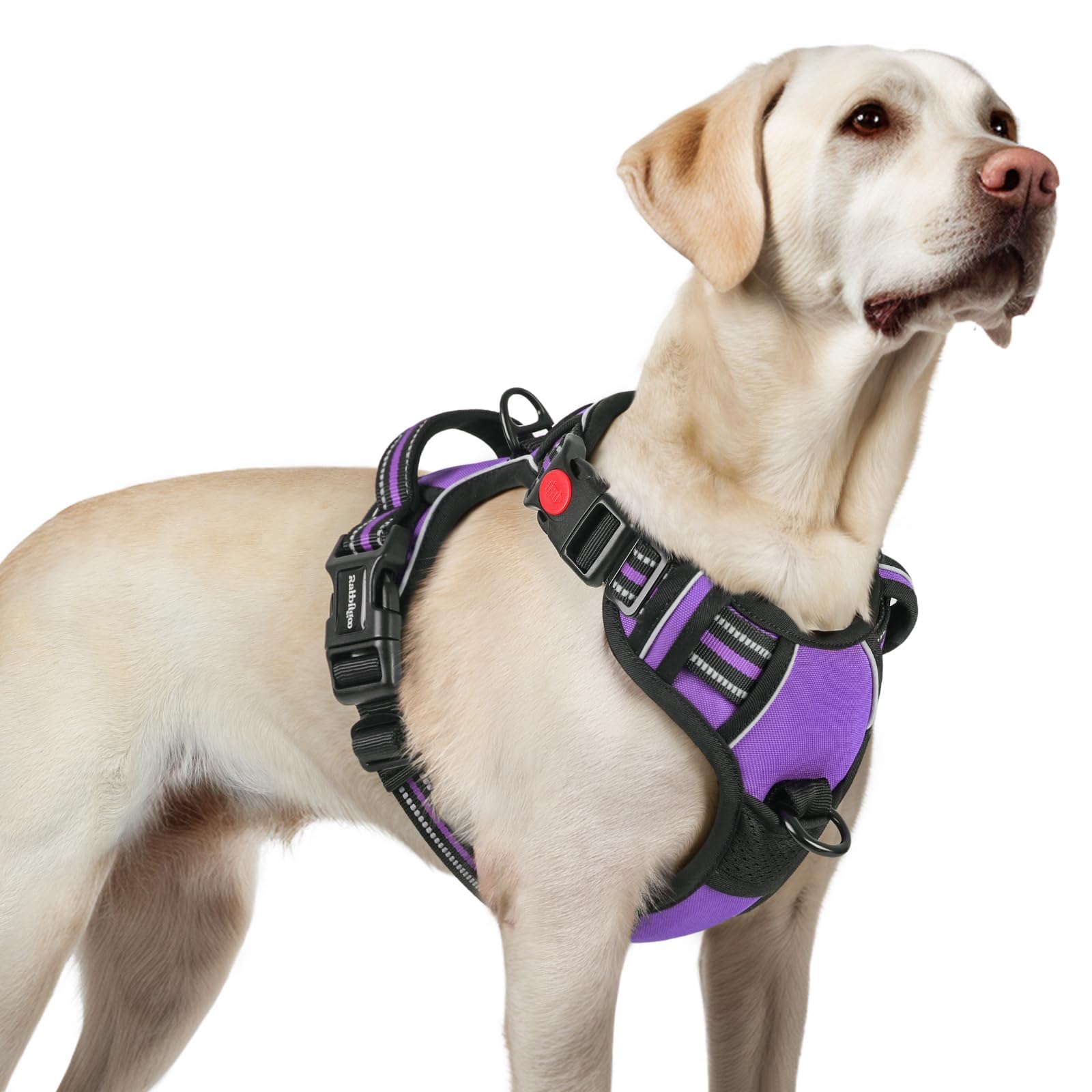 Rabbitgoo large dog harness with 3 buckles for easy on-off during daily walks.