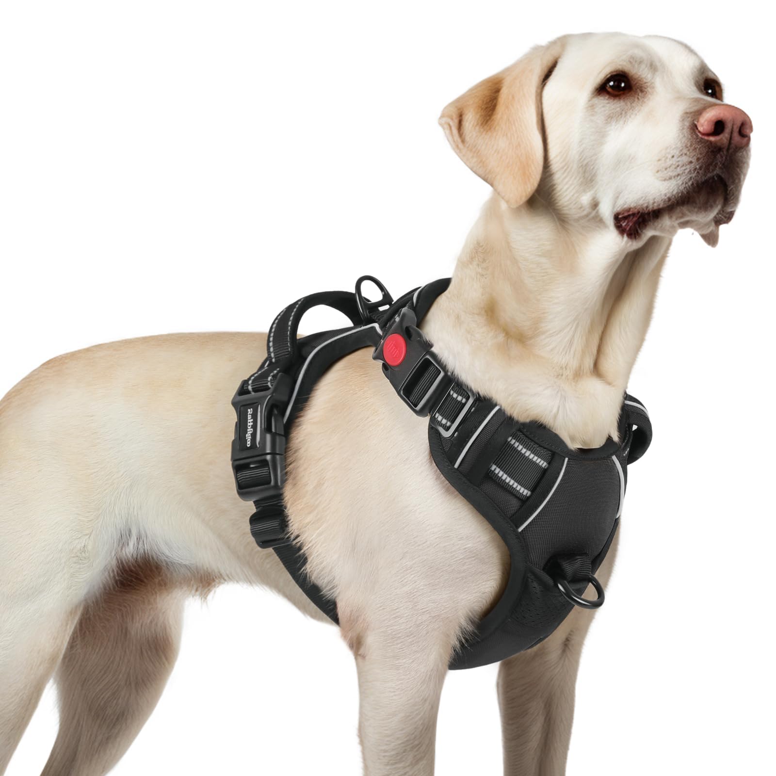 Rabbitgoo large dog harness with four adjustable straps for a secure fit