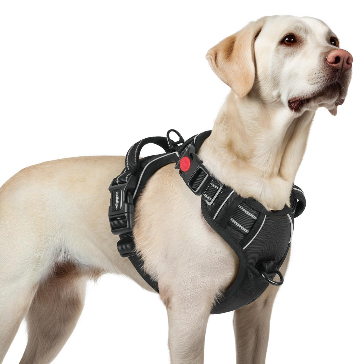 Rabbitgoo large dog harness with four adjustable straps for a secure fit