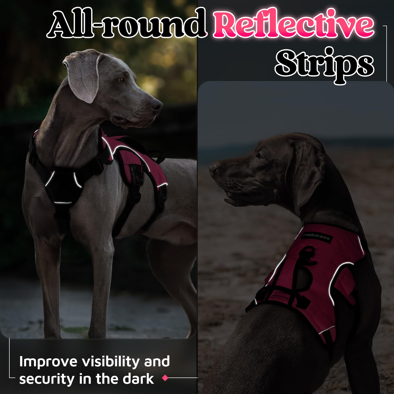 Rabbitgoo large-dog harness designed for comfort, security, and controlled training sessions