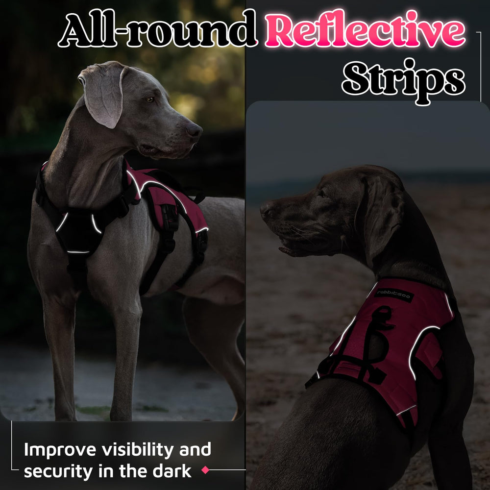 Rabbitgoo large-dog harness designed for comfort, security, and controlled training sessions