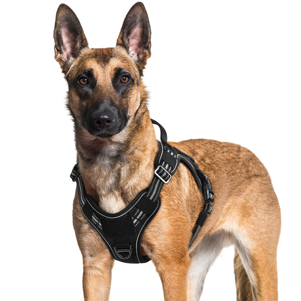 Rabbitgoo large dog harness with front-clip no-pull design for easier control.