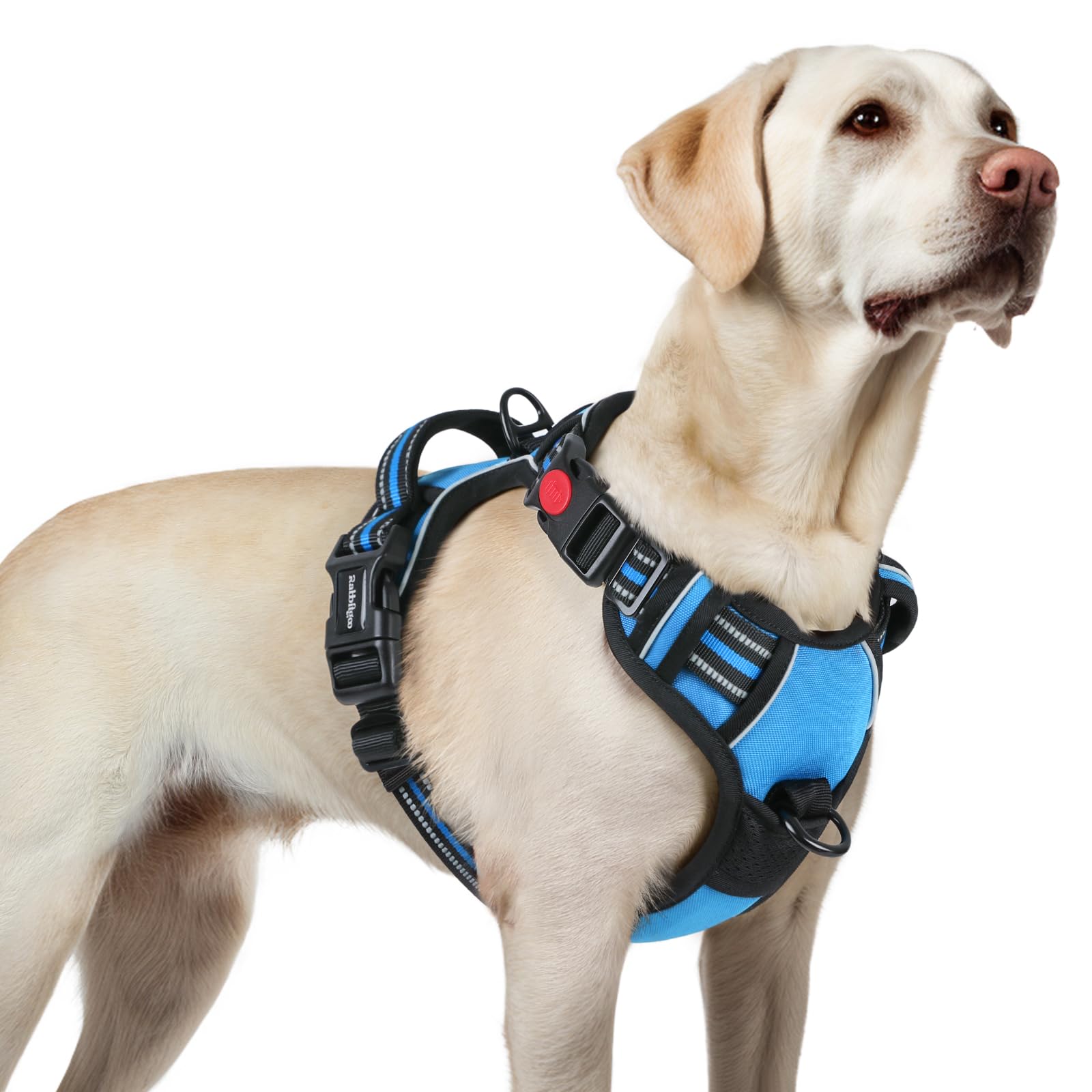 Rabbitgoo large dog harness with no-pull design and three buckles for secure daily walks