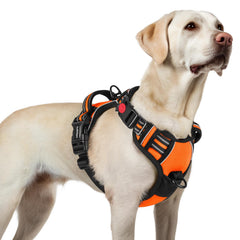 Rabbitgoo large dog harness with no pull design and three quick-release buckles.