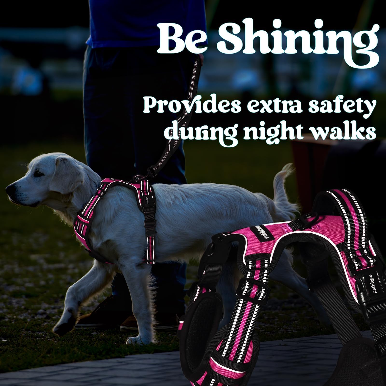 Rabbitgoo dual leash attachment points for versatile walking setups