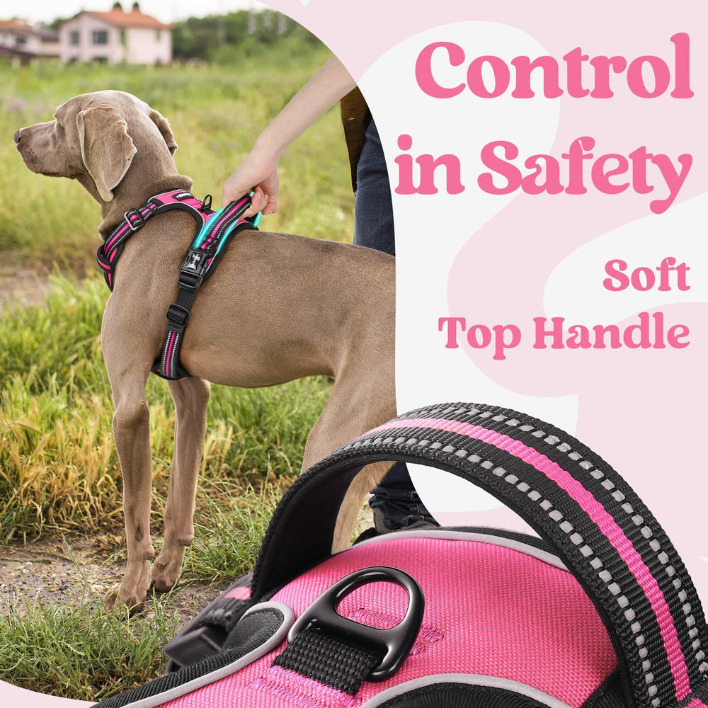 Rabbitgoo reflective stitching for nighttime visibility during walks