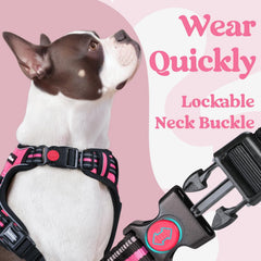 Rabbitgoo three-buckles close-up emphasizes quick, secure on/off