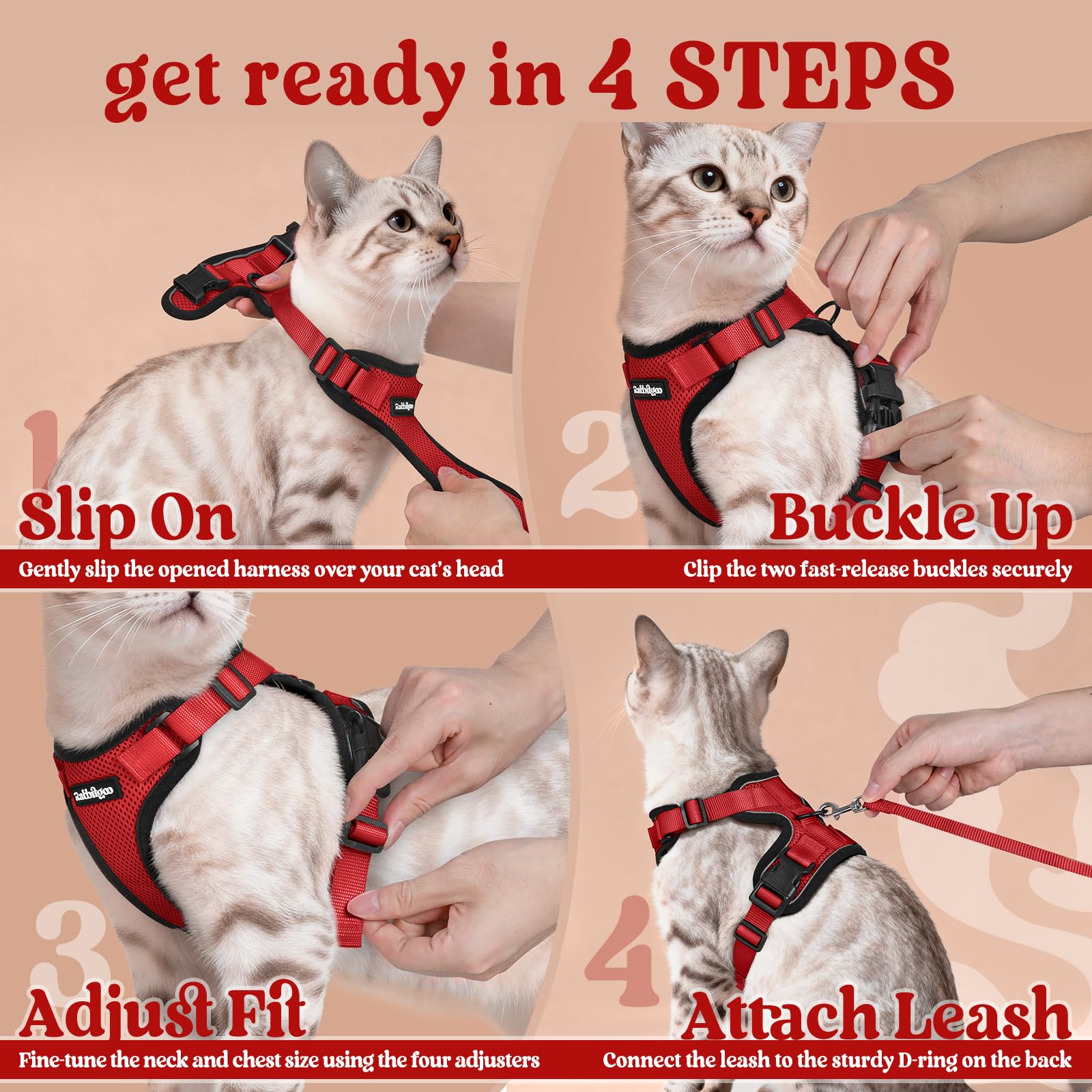 Rabbitgoo 4.9 ft leash attached to harness for confident outings.