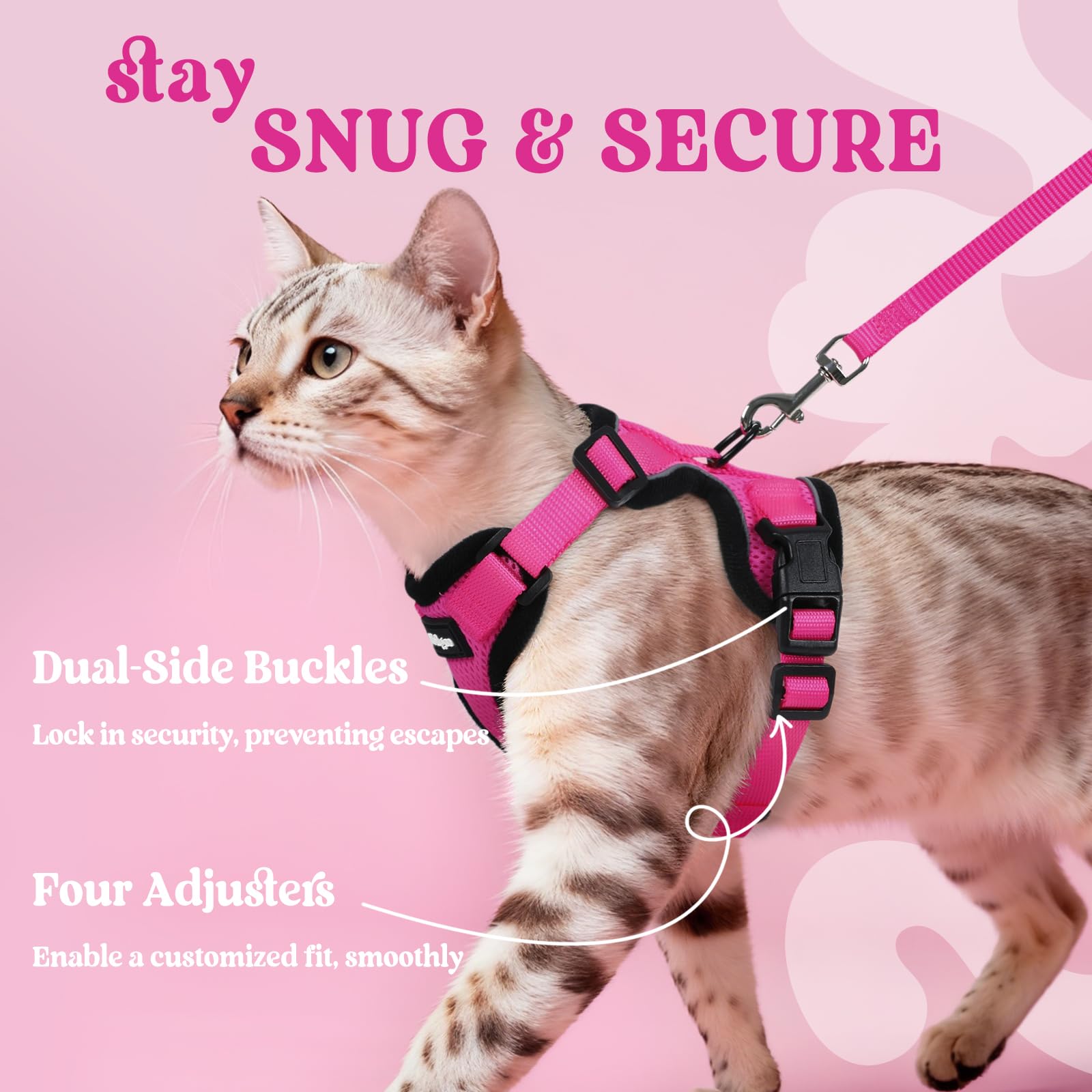 Rabbitgoo 4.9ft leash paired with the harness for balanced control.