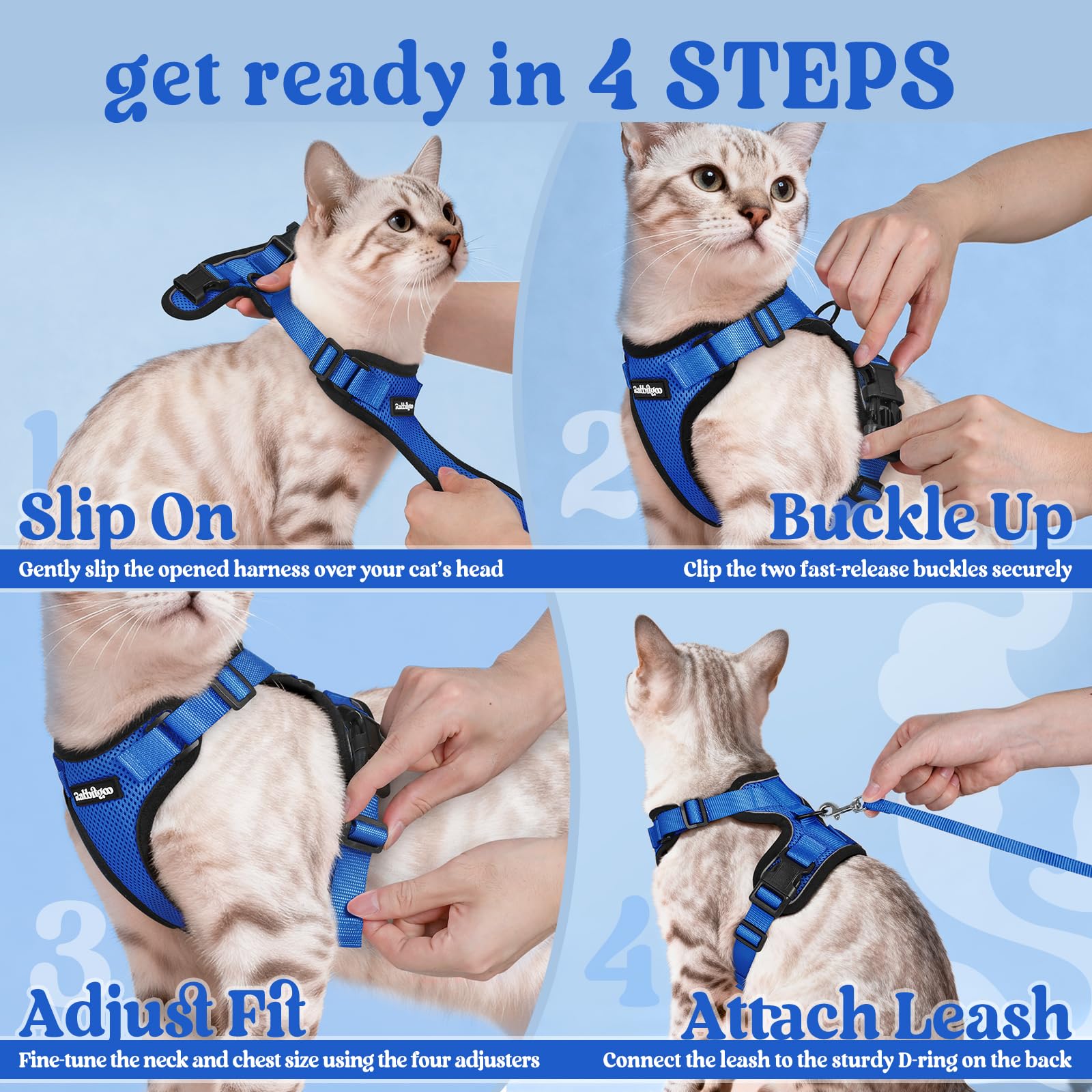 Includes 4.9 ft leash for relaxed walking adventures