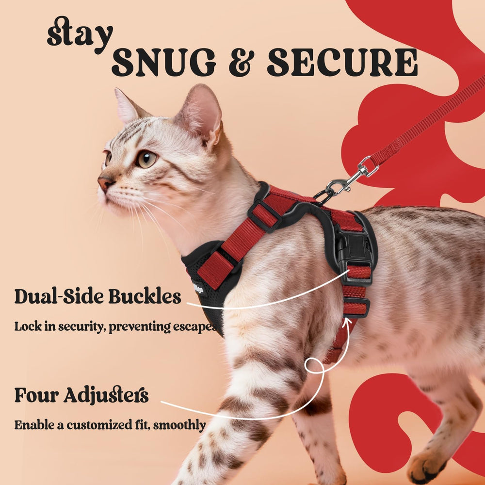 Rabbitgoo 4.9 ft leash pairs with the harness for comfortable control.