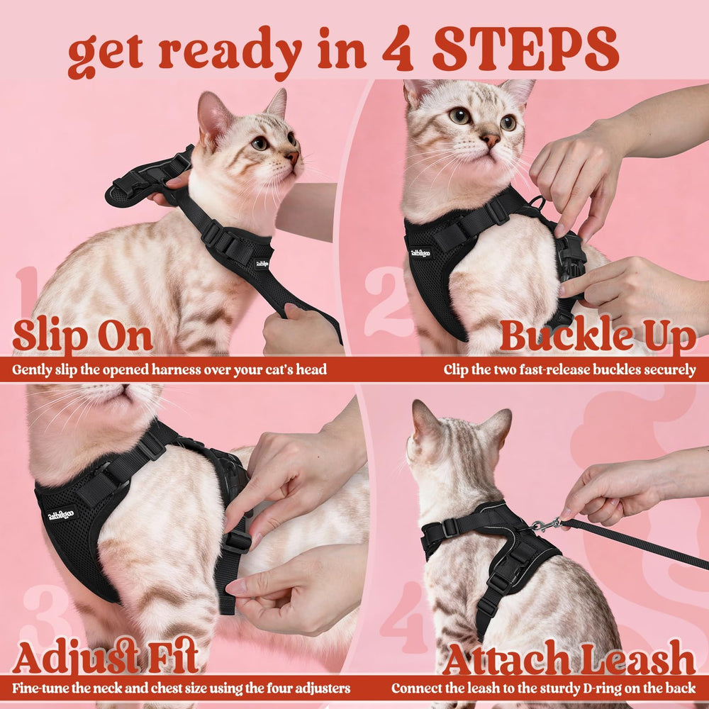 Rabbitgoo leash 4.9 ft pairs with harness for reliable control.
