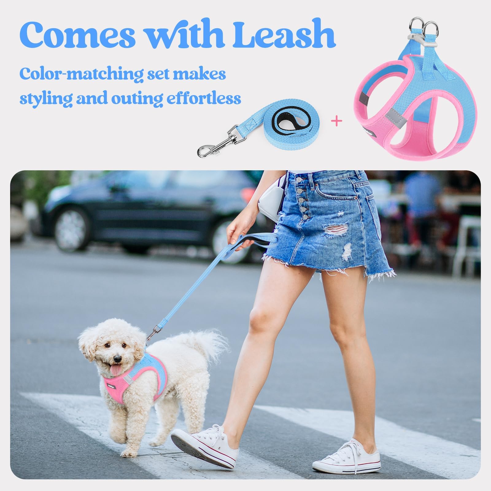 Rabbitgoo leash 5-12ft with anti-tangling clip and palm-friendly handle.