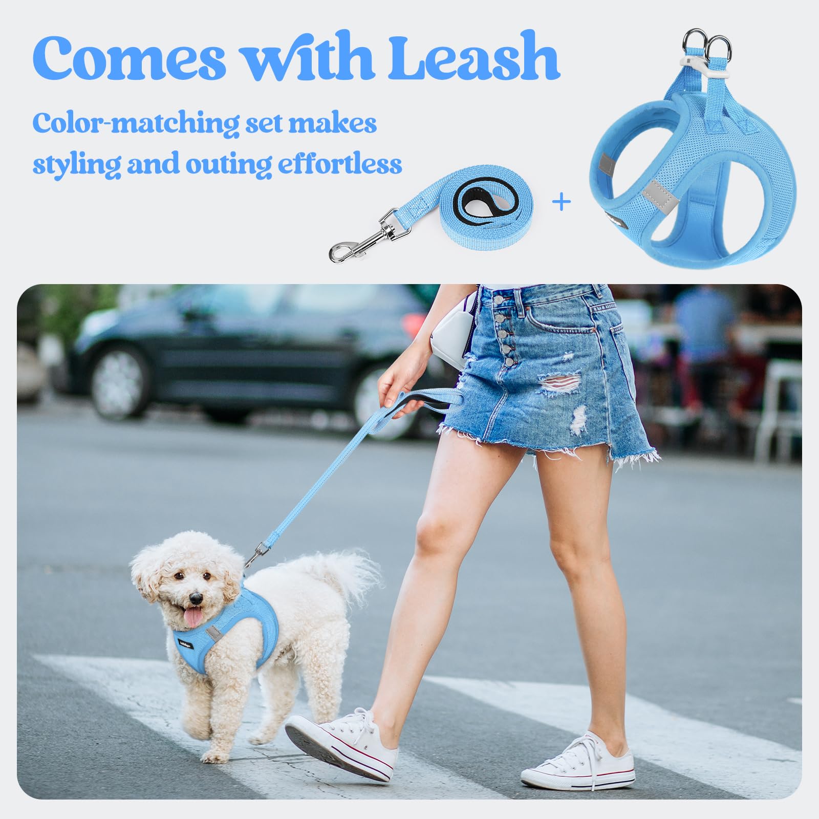 Rabbitgoo 5.12 ft leash with palm-friendly handle for comfortable control.