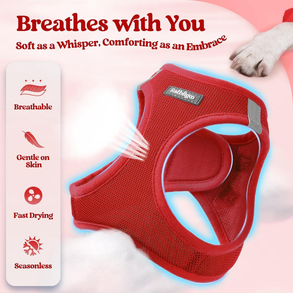 Rabbitgoo Leash 5-12ft Red provides relaxed control and reach.
