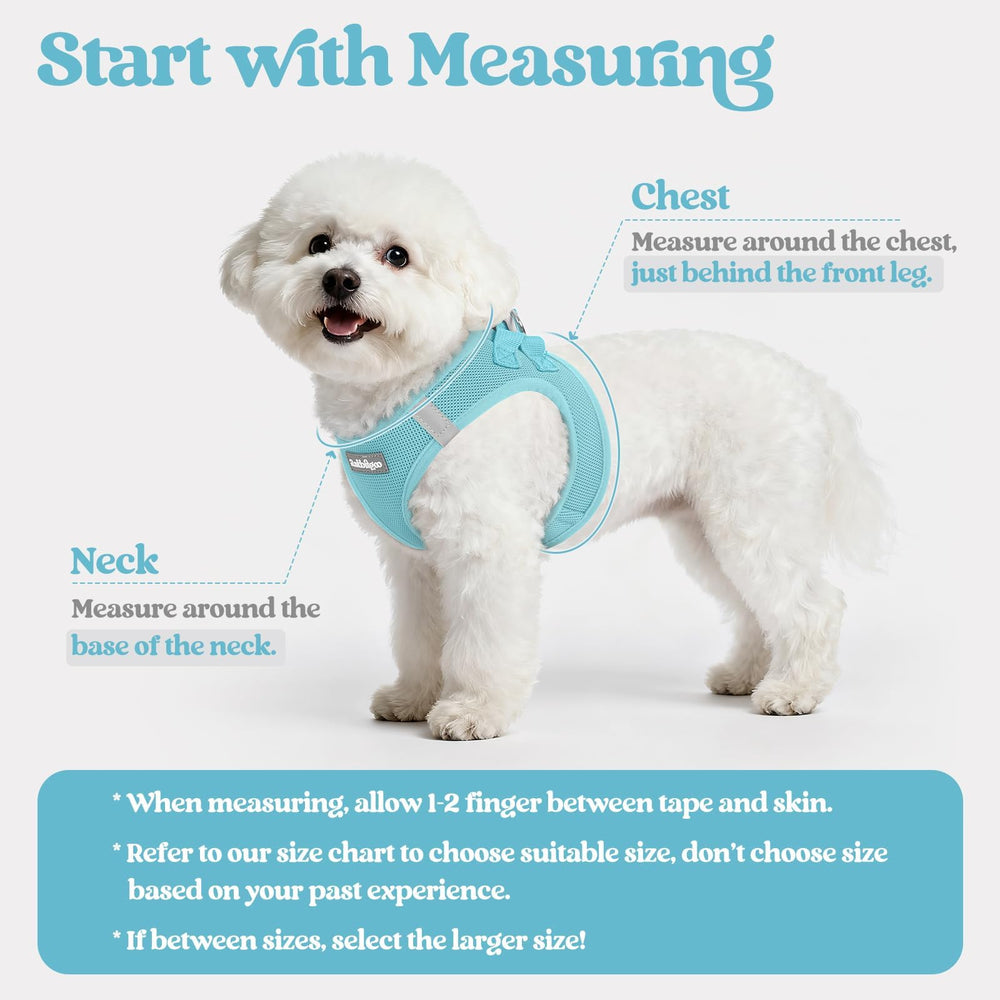 Rabbitgoo 5.12 ft leash with reflective bands for nighttime safety