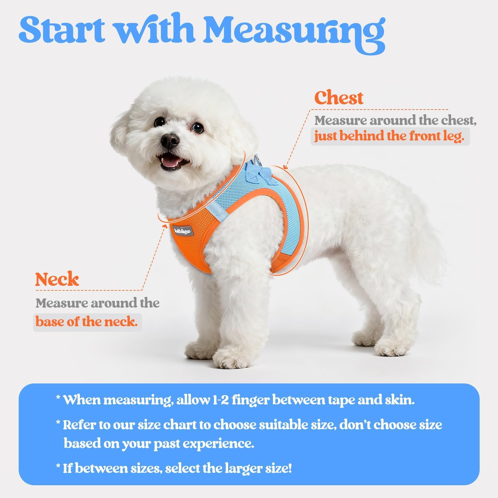Rabbitgoo leash shows 5.12 ft length with anti-tangle clip.