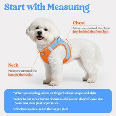 Rabbitgoo leash shows 5.12 ft length with anti-tangle clip.