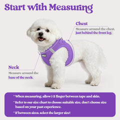 Rabbitgoo 5ft leash with reflective bands for safer night walks