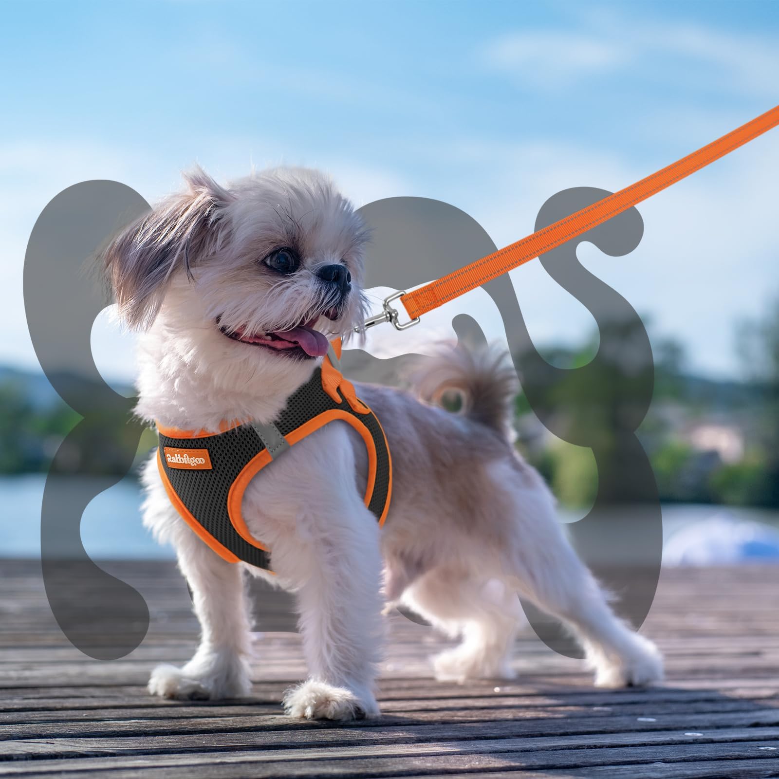 Rabbitgoo cushioned handle leash offers comfortable grip