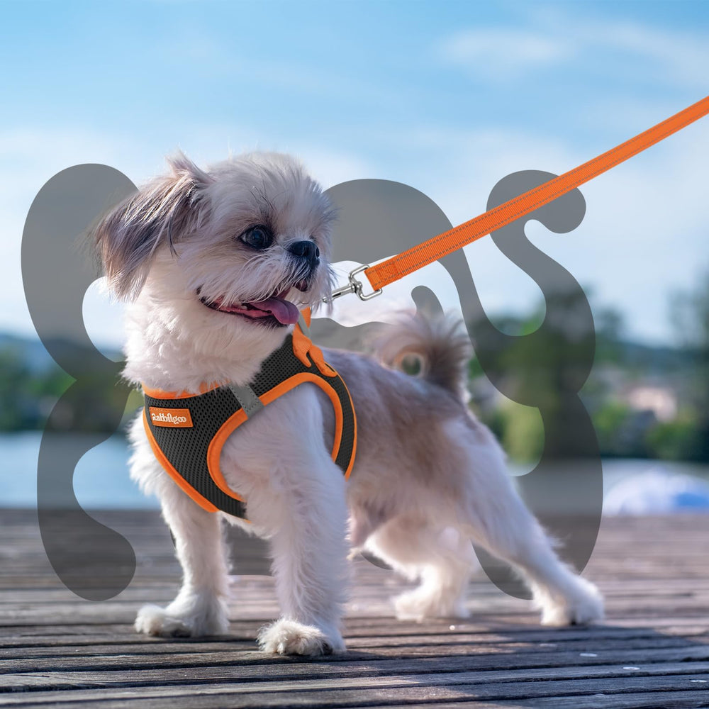 Rabbitgoo cushioned handle leash offers comfortable grip