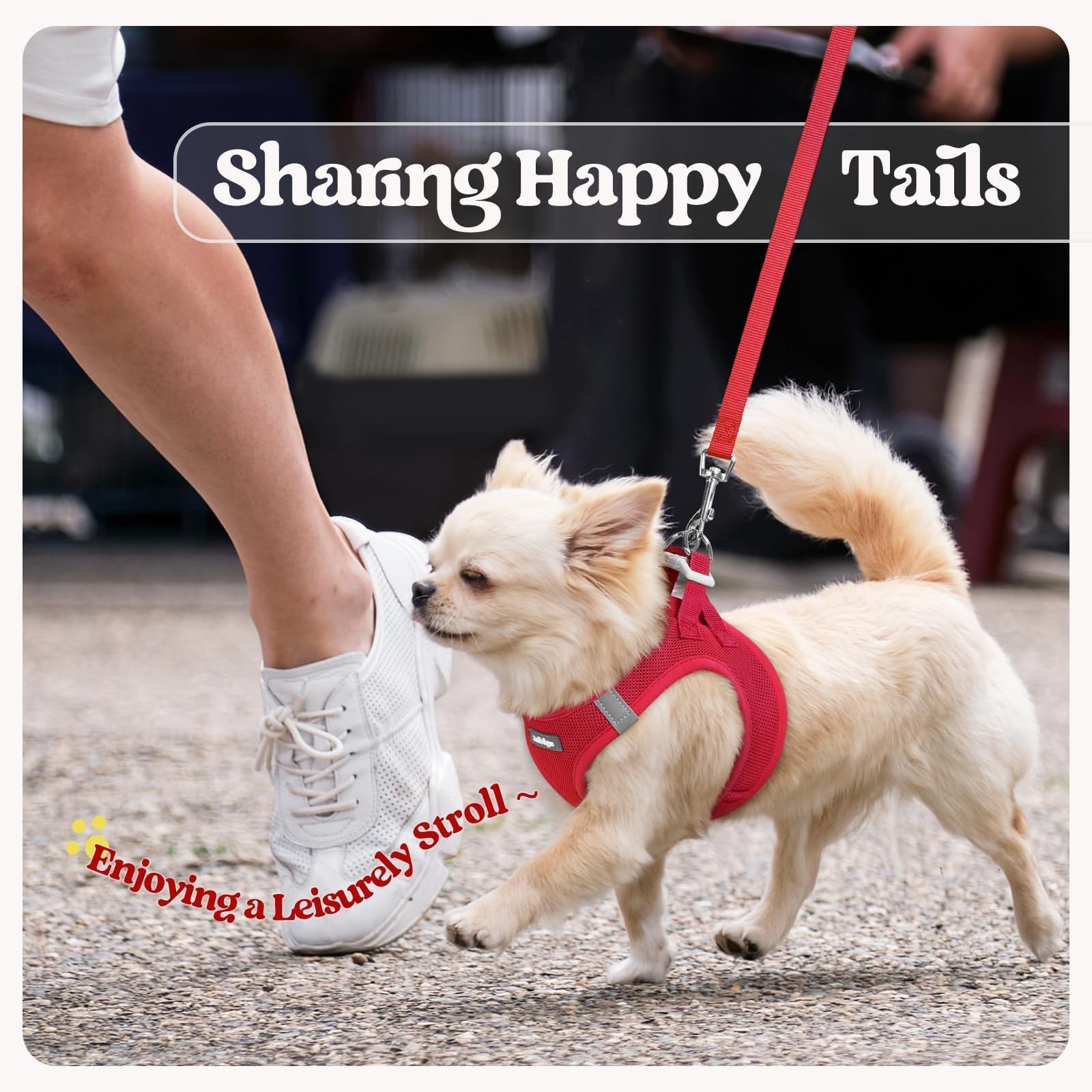 Rabbitgoo leash with palm-friendly handle for comfortable control