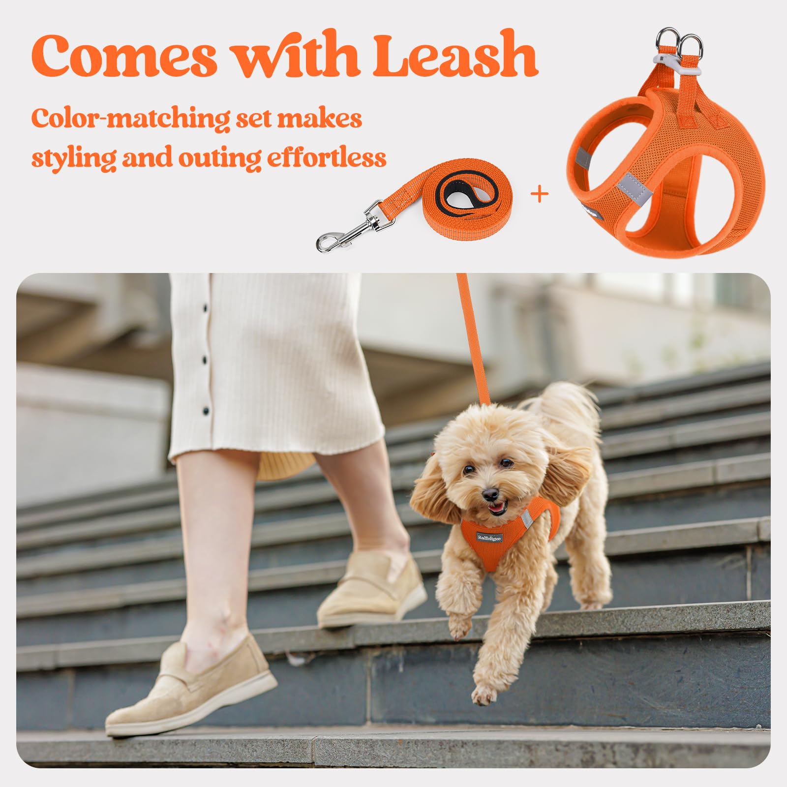 Rabbitgoo palm-friendly handle leash with anti-tangle clip for smooth control.