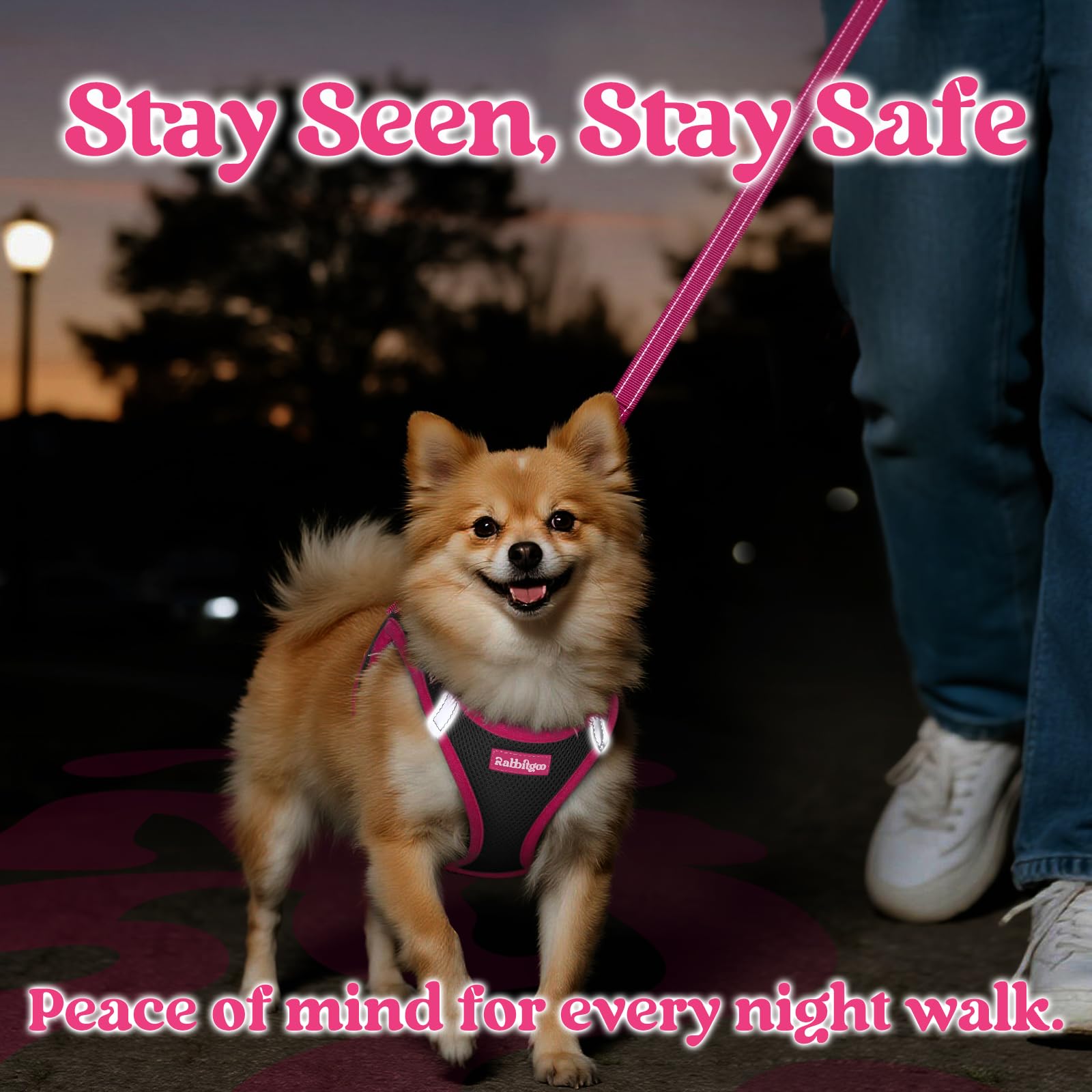 Rabbitgoo rose-red leash complements the harness for a coordinated, stylish look.