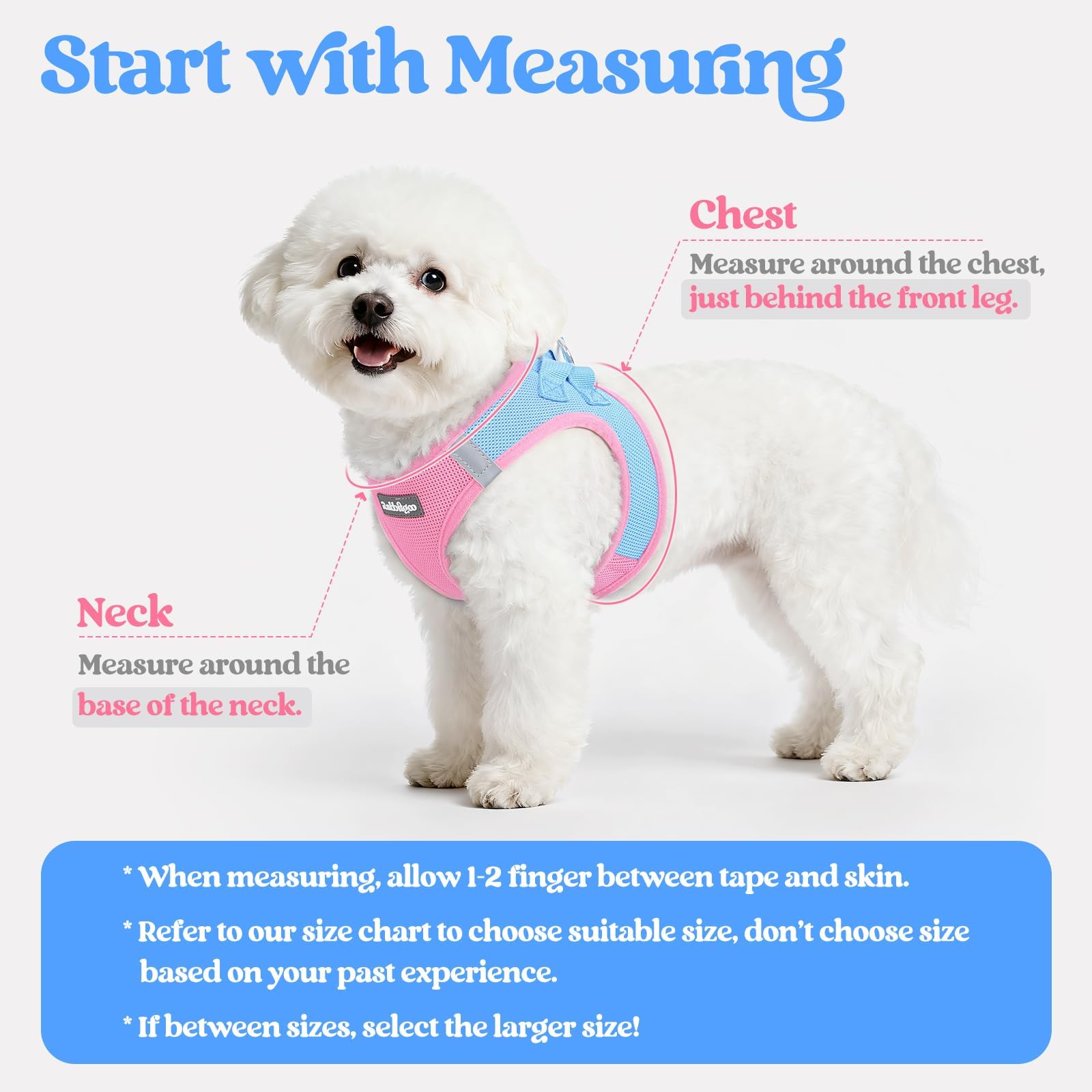 Rabbitgoo leash set blue and pink step-in closure for convenient walking.