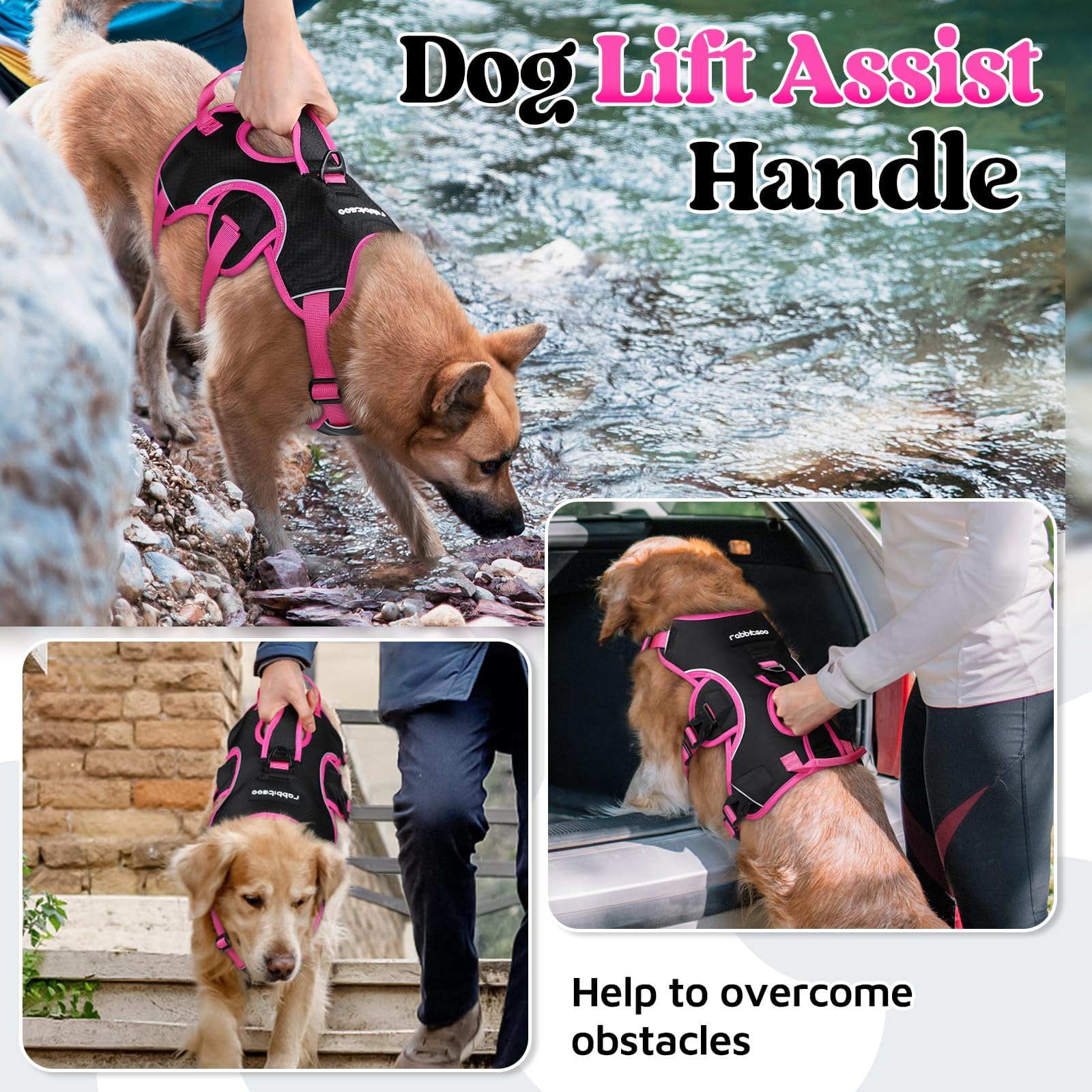 Rabbitgoo lift-handle harness helps dogs over obstacles with ease.