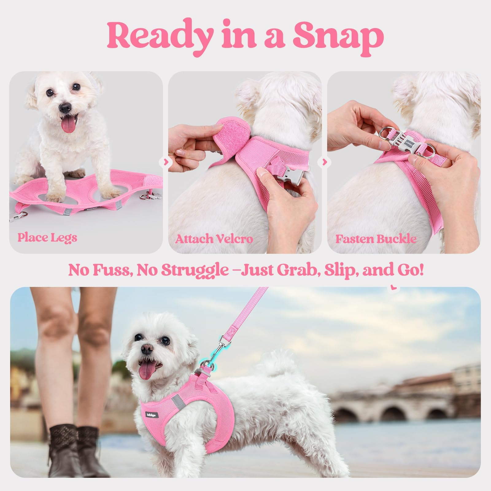 Rabbitgoo light pink harness XXS adds subtle style and safety.