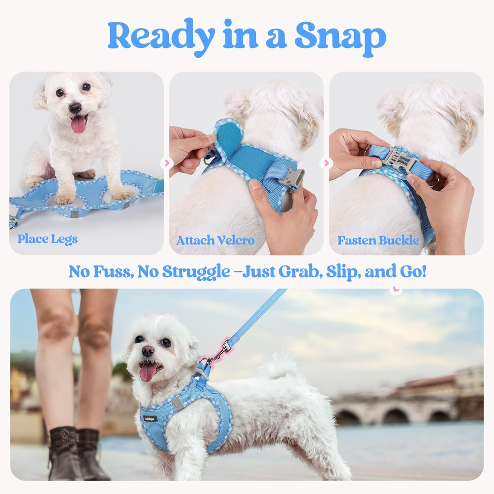 Rabbitgoo lightweight harness at 0.2 lbs for breezy comfort.