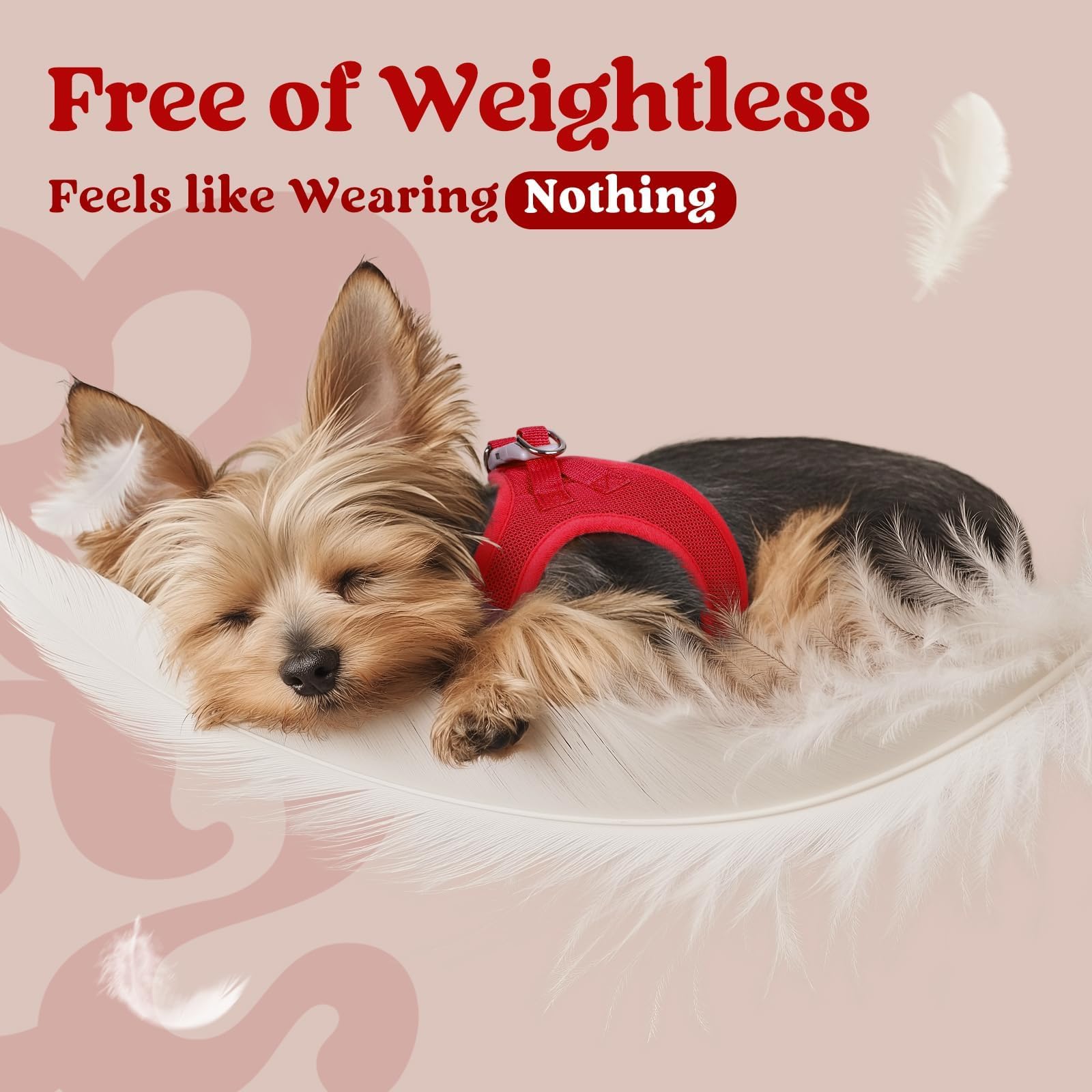 Rabbitgoo lightweight harness ideal for travel and daily outings