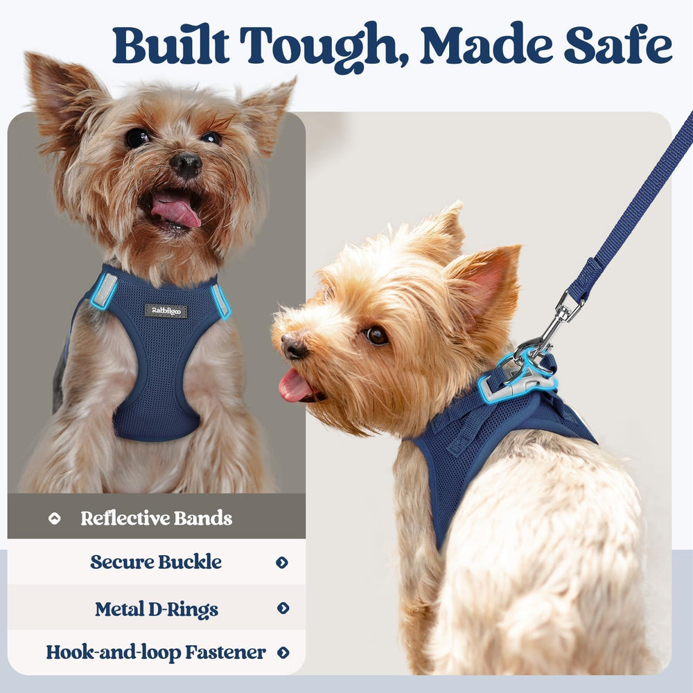 Rabbitgoo lightweight harness weighing about 0.2 lbs.