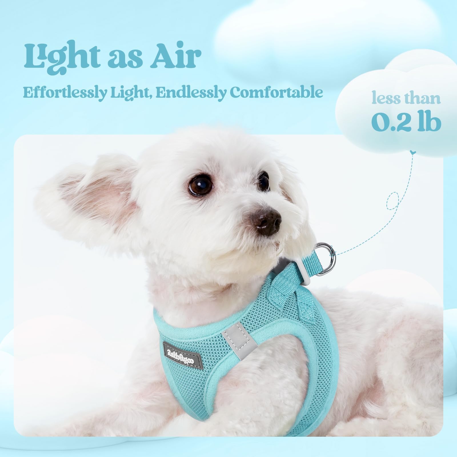 Rabbitgoo Lightweight Harness — 0.2 lbs with soft edges for comfy outings.