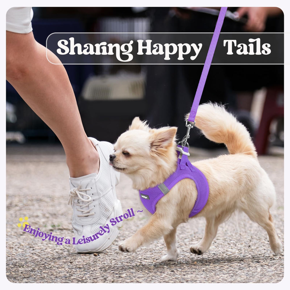 Rabbitgoo lightweight harness reducing weight on small dogs
