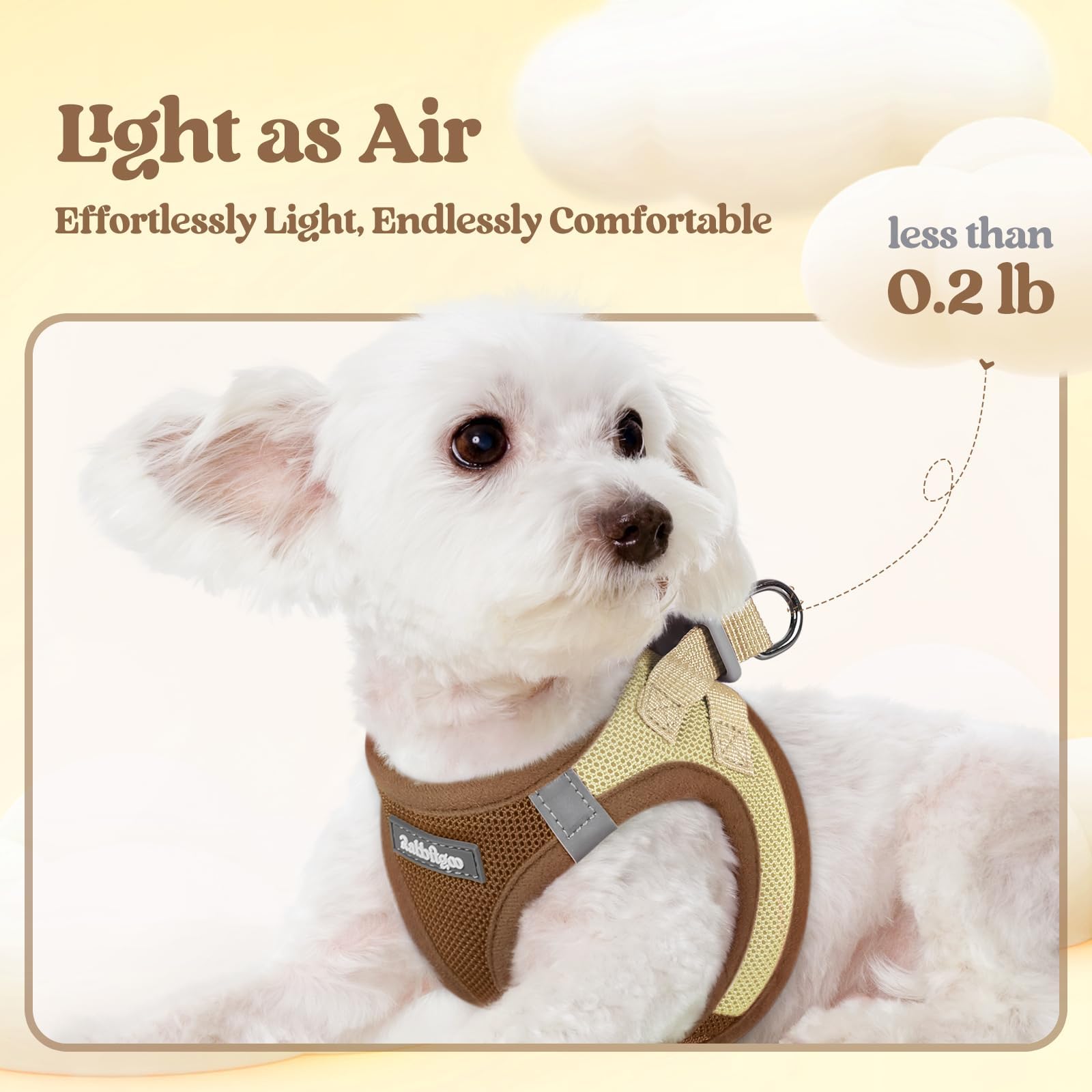 Rabbitgoo lightweight step-in harness for small dogs, comfortable daily wear.