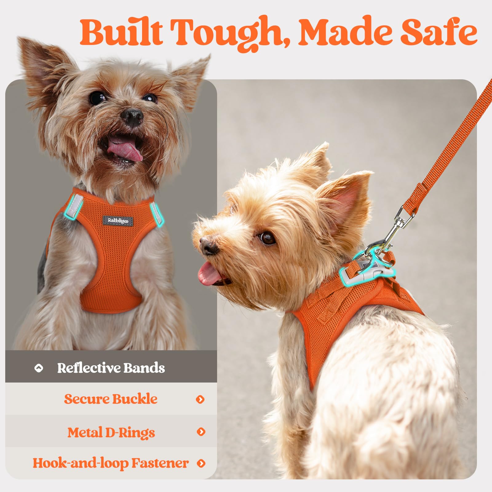 Rabbitgoo lightweight step-in harness for comfortable wear on small dogs.